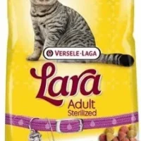 lara-adult